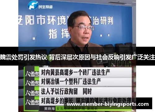 魏震处罚引发热议 背后深层次原因与社会反响引发广泛关注